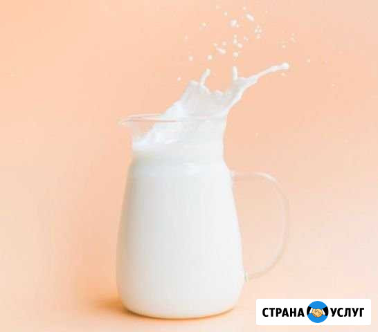 Козье молоко Вологда - изображение 1