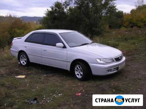Пассажирские перевозки Бийск - изображение 1