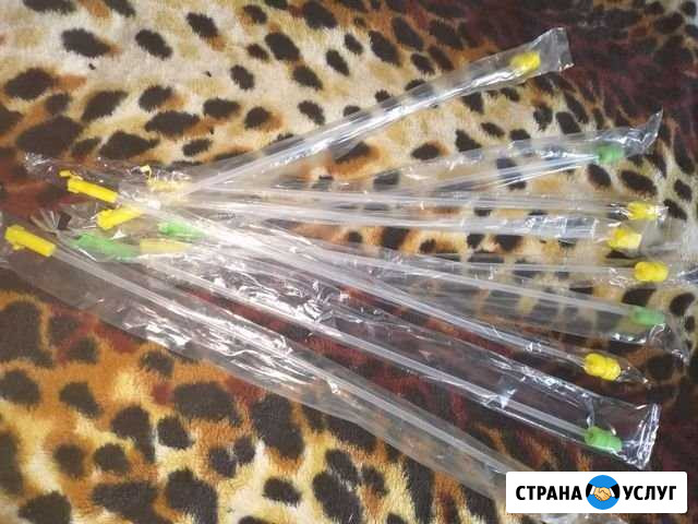 Оплодотворение свиноматок Новокузнецк - изображение 1