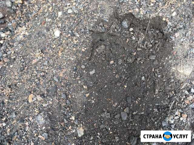 Отсыпка участков и дорог Архангельск - изображение 1