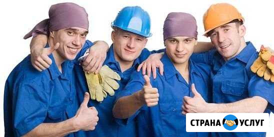 Разноработчие Вологда - изображение 1
