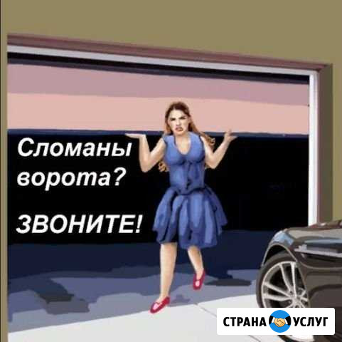 Ремонт ворот / роллет / автоматики Токсово - изображение 1