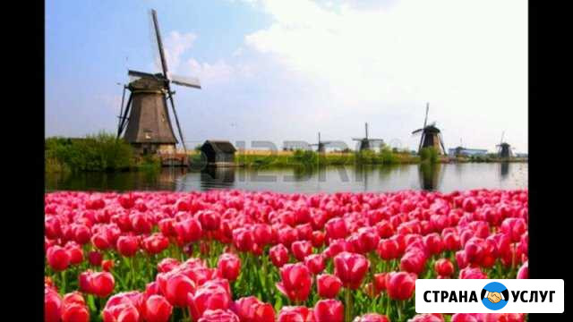 Нидерландский (голландский) язык Грозный - изображение 1