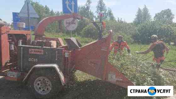 Измельчитель дробилка древесины Видное