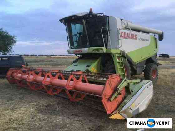 Уборка зерновых 2020 Донское