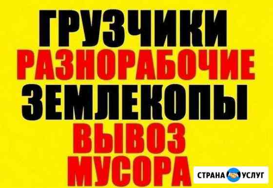 Грузчики,переезды,грузоперевозки,вывоз мусора Армавир