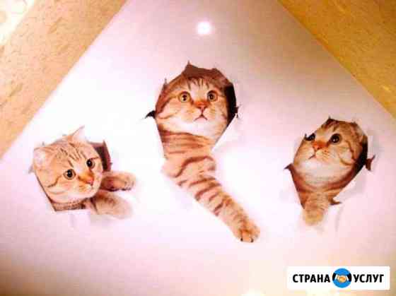Натяжные потолки Киров
