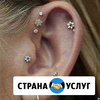 Пирсинг (прокол) пупка, языка, уха, хряща, носа Орёл - изображение 1
