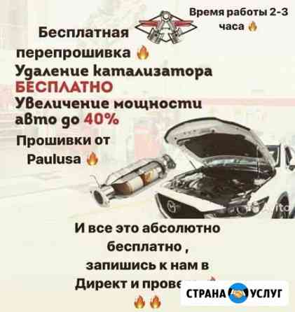 Бесплатная перепрошивка и удаление катализатора Рязань