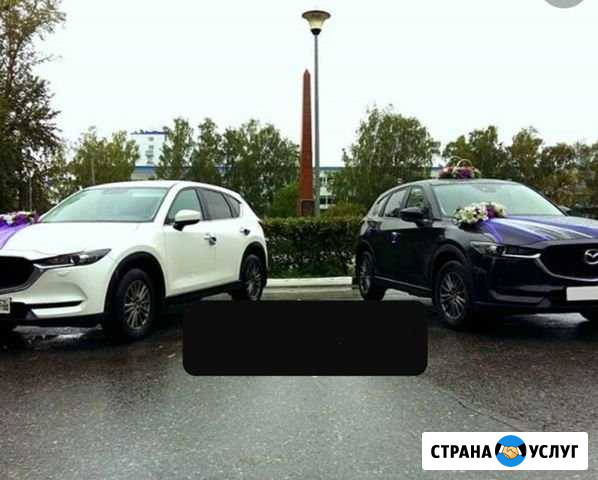 Авто на свадьбу Заволжье - изображение 1