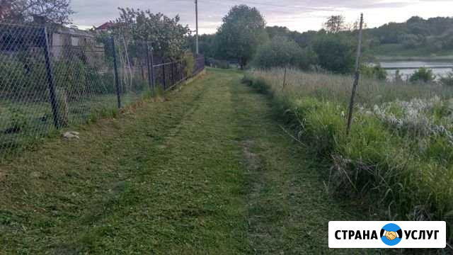 Покос травы триммером Багратионовск - изображение 1