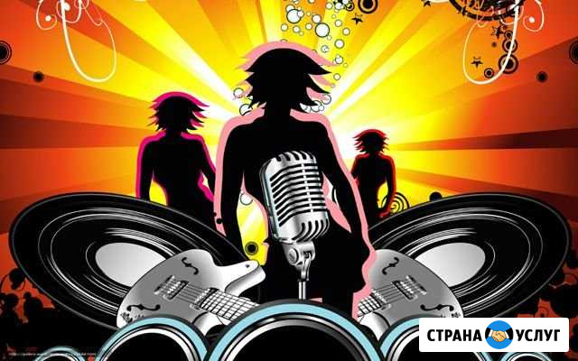 Музыка на Ваш Праздник Сальск - изображение 1