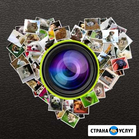 Монтаж/создание видеороликов из ваших фото и видео Иркутск - изображение 1