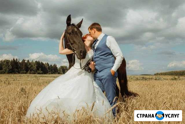 Фотограф во Владимире и Владимирской области Владимир - изображение 1