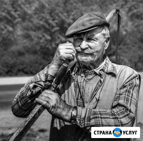 Покос травы Волжский Волгоградской области - изображение 1