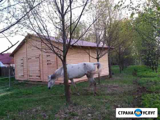 Постой для лошади оздоравливающий Красное-на-Волге