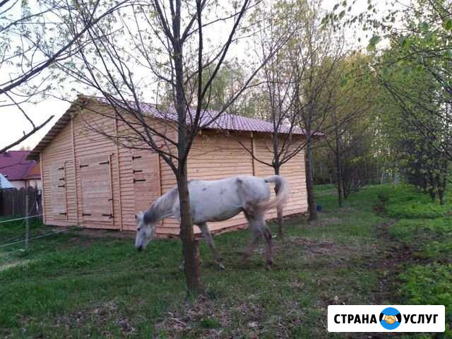 Постой для лошади оздоравливающий Красное-на-Волге - изображение 1