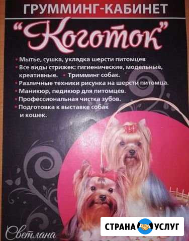 Грумминг Стрежевой - изображение 1