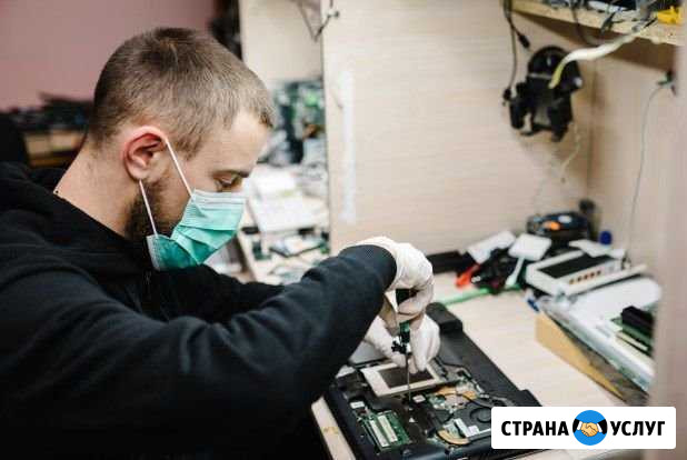 Ремонт компьютеров. Установка Windows. Чистка Новосибирск - изображение 1