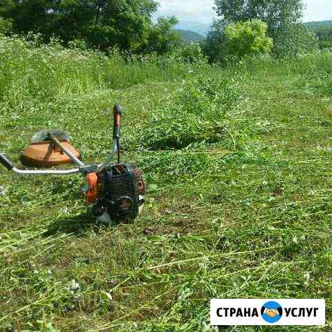 Покос травы в Урус-Мартановском р-не Грозный