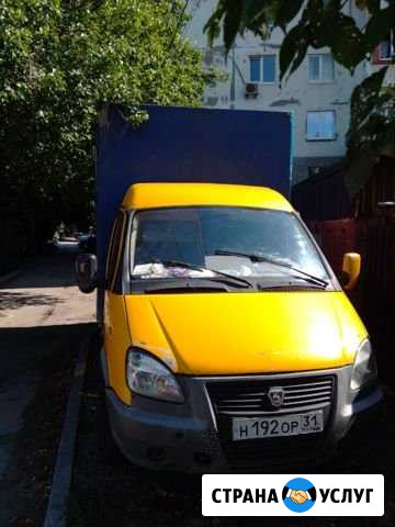 Грузоперевозки газелью Ростов-на-Дону - изображение 1