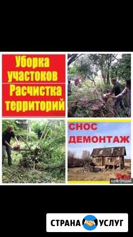 Расчистка участка.уборка территорий.спил деревьев Нижние Вязовые - изображение 1
