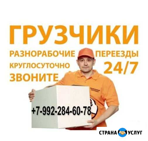 Грузчики+газели Вологда - изображение 1