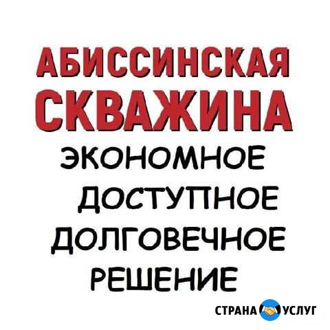 Абиссинская скважина круглый год Ульяновск - изображение 1