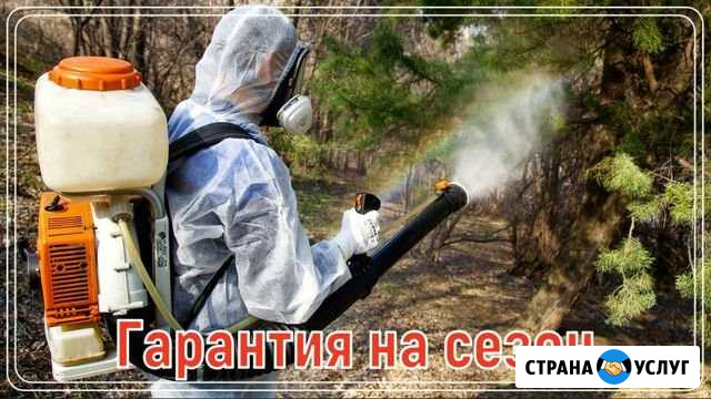 Обработка участка от клещей, кротов, борщевика, ос Сергиев Посад - изображение 1