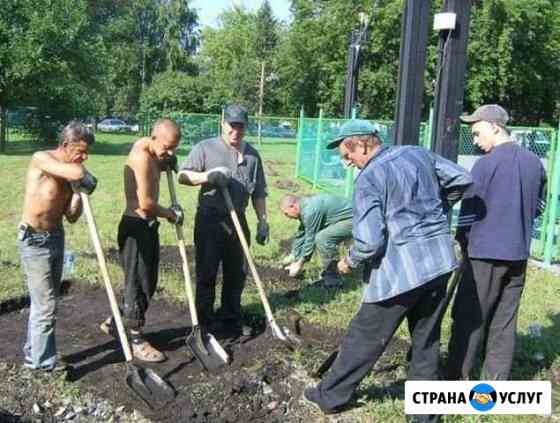 Землекопы Брянск