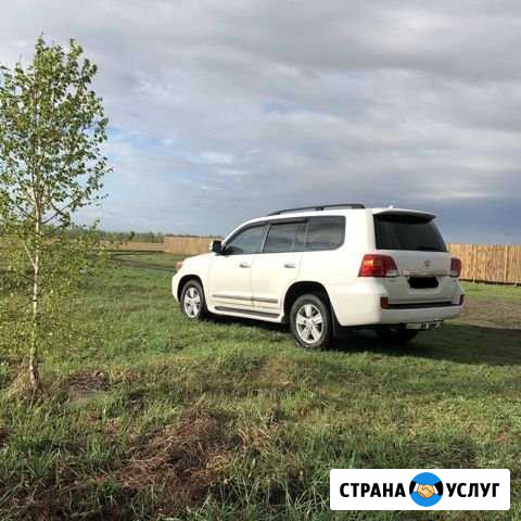 Аренда авто Заринск - изображение 1