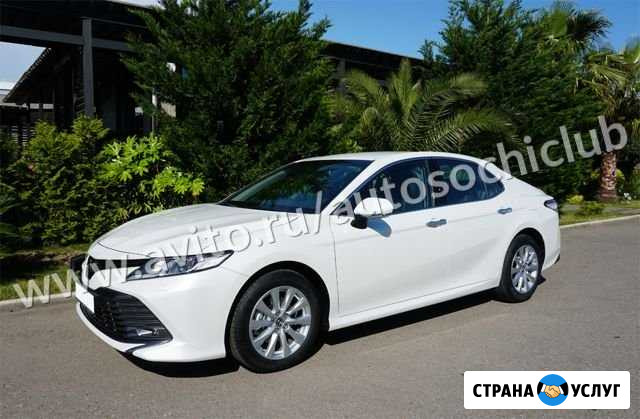 Аренда авто Адлер Сочи - изображение 1
