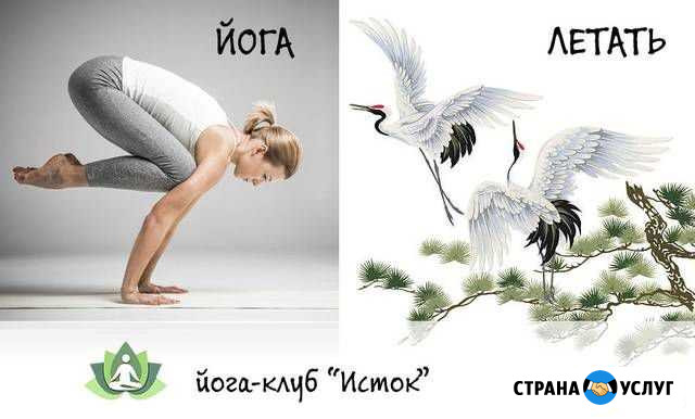 Йога для здоровья Находка - изображение 1