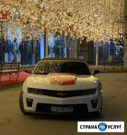 Прокат авто Махачкала