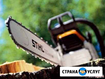 Спил деревьев,покос травы, уборка участков,разбор Сальск - изображение 1