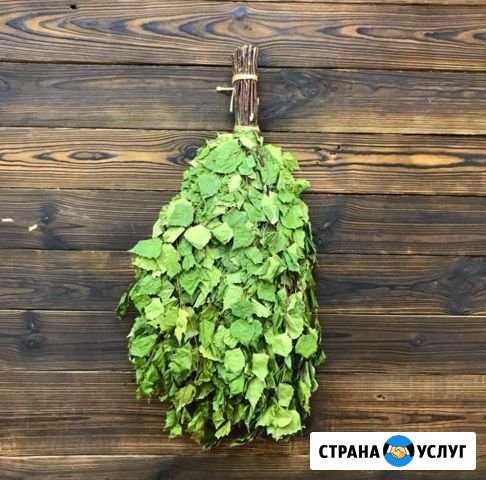 Веник Соликамск - изображение 1