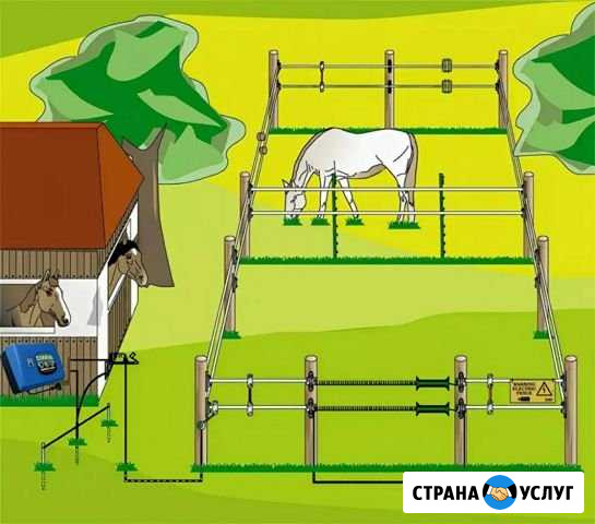 Установка электропастуха по югу Росии Светлоград - изображение 1