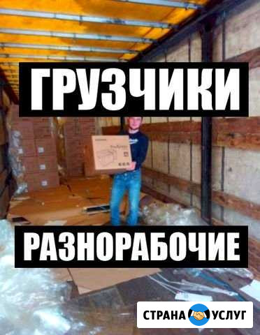 Грузчики - Услуги грузчиков, разнорабочие Заринск - изображение 1