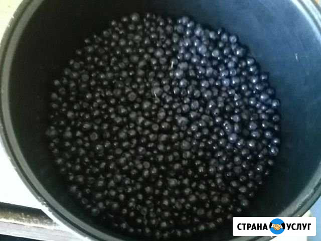 Ягоды Псков - изображение 1