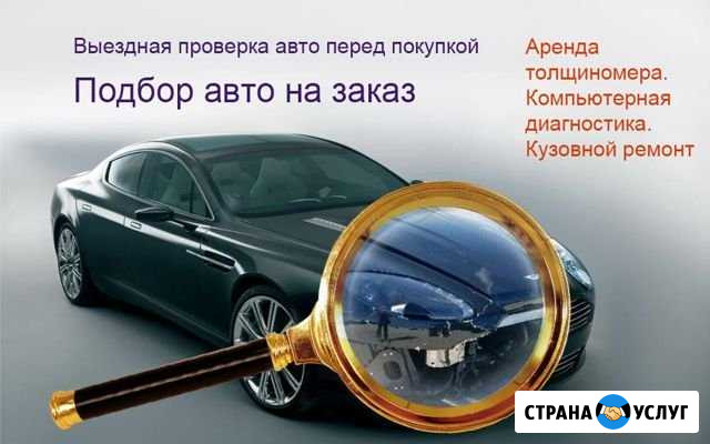 Помощь в покупке автомобиля Липецк - изображение 1