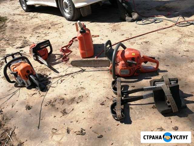 Спил деревьев Набережные Челны - изображение 1