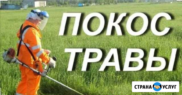 Покос травы, косим траву, газон сделаем все аккура Урус-Мартан - изображение 1