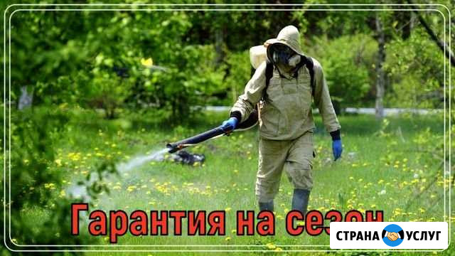 Обработка участка от клещей, кротов, борщевика, ос Ногинск - изображение 1