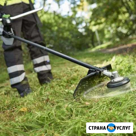 Покос травы Динская - изображение 1