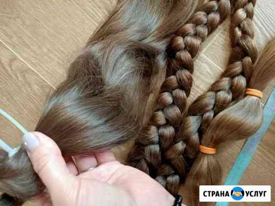 Скупка волос у населения Петропавловск-Камчатский