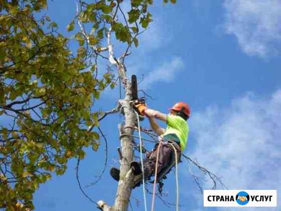 Спил деревьев, уборка участков Армавир