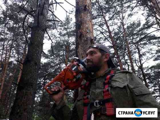 Спил деревьев Новосибирск Новосибирск