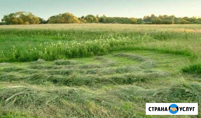 Скошу траву Минусинск - изображение 1