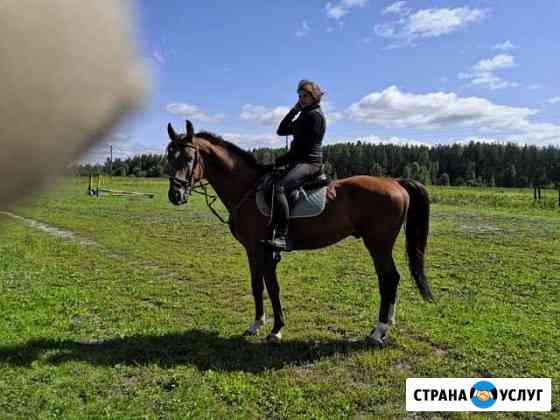 Конь в аренду Балашиха