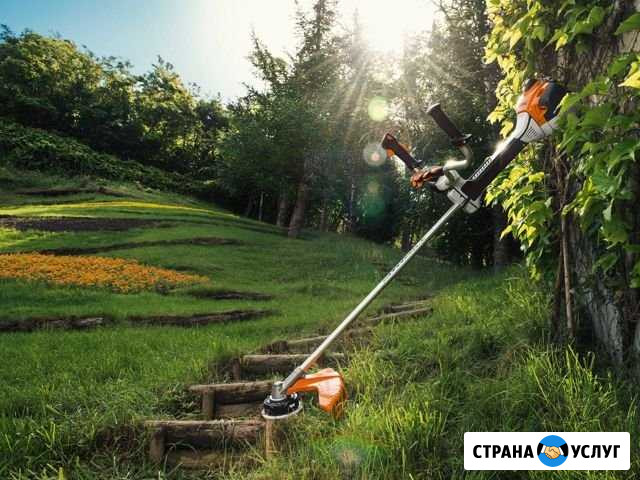 Покос травы и кустарников, спил деревьев Линда - изображение 1